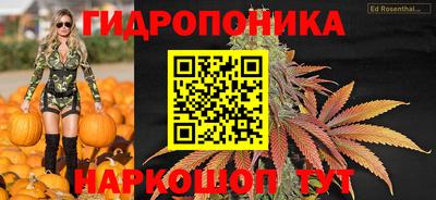 крисы Чебоксары